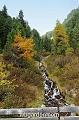 wbgarden alps 6